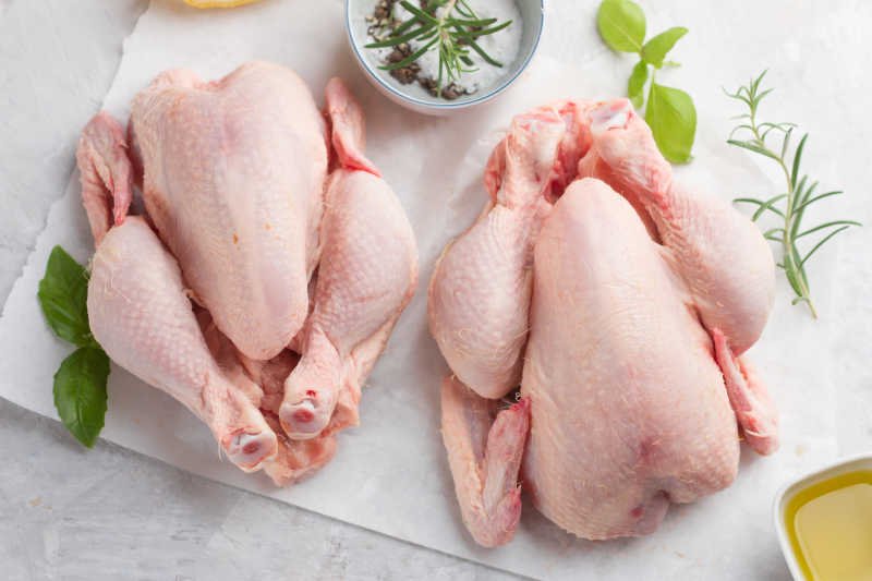 bắt đá gà ở bình thuận bắt đá gà ở bình thuận
