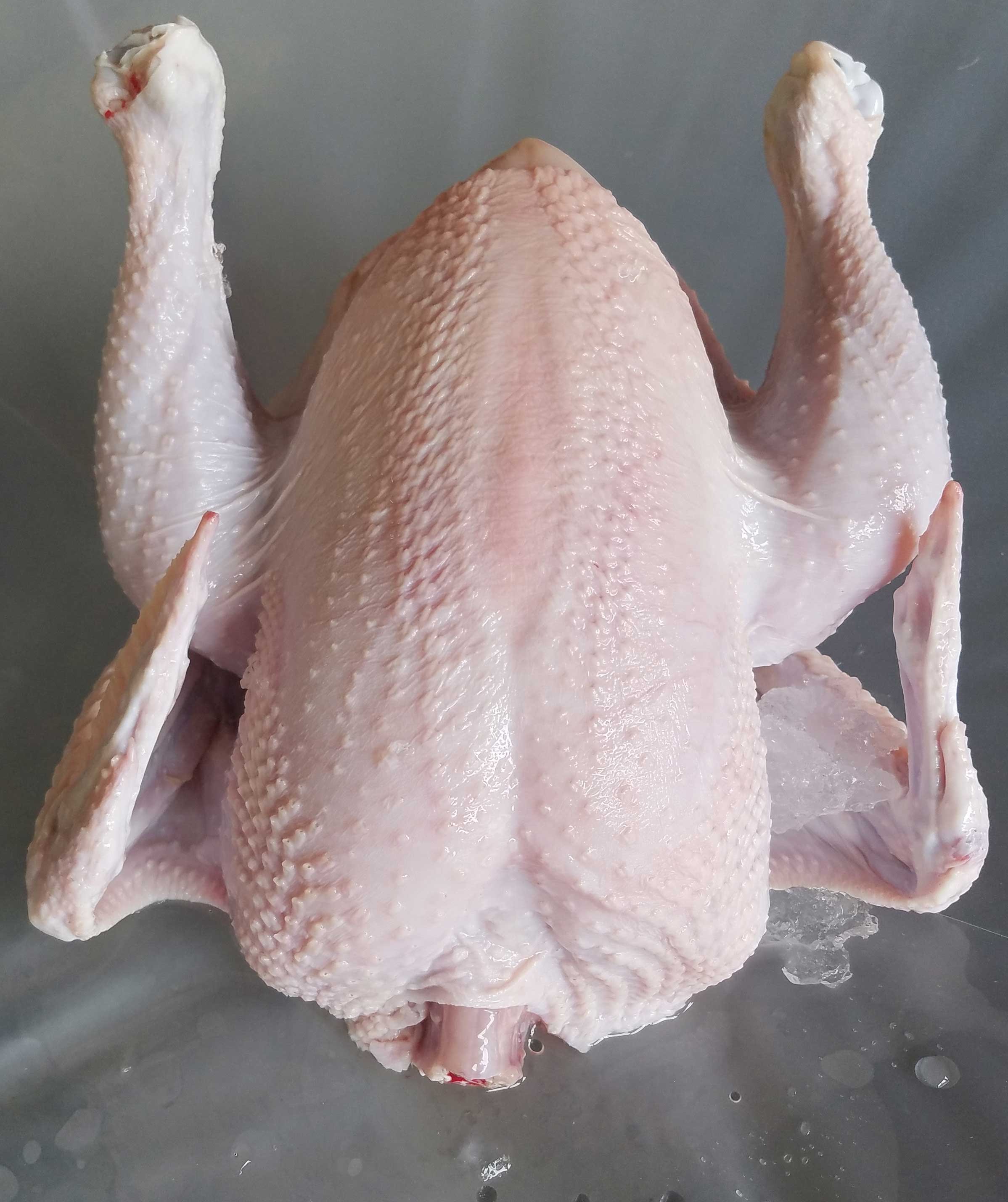xem đá gà đòn hay,Đánh giá chi tiết về Xem đá gà đòn: Một trải nghiệm không thể bỏ qua xem đá gà đòn hay,Đánh giá chi tiết về Xem đá gà đòn: Một trải nghiệm không thể bỏ qua